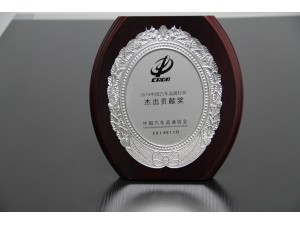 2014中國(guó)汽車(chē)流通行業(yè)杰出貢獻(xiàn)獎(jiǎng)